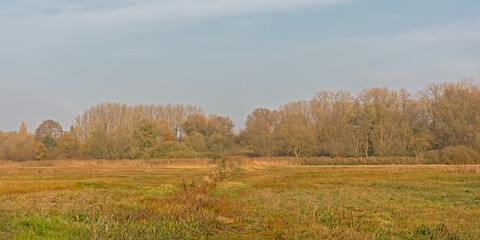 Obraz premium Marshland with colorful autumn trees in in Bourgoyen nature reserve.