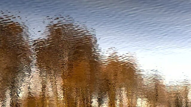 LUSTRZANE ODBICIA DRZEW W WODZIE. RUCHOME TŁO Z LUSTRZANYM ODBICIEM DRZEW W WODZIE.