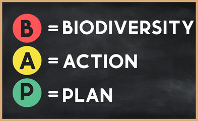 Biodiversity action plan - BAP acronym written on chalkboard, business acronyms.