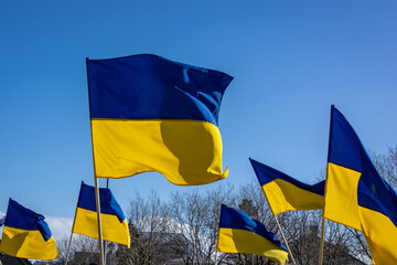 Ukrainian flags carried by people protesting against war in Ukraine at a peaceful demonstration in...
