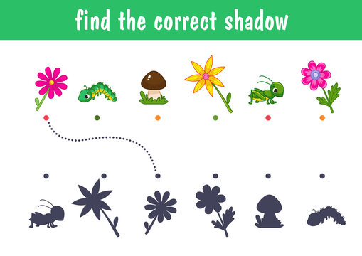 Small cute colorful flowers, daisies, tulip and grasshopper. Find the correct shadow. Educational game for children. Cartoon vector illustration.