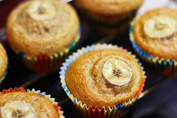 Homemade banana muffins decorated with banana slice. Fresh cupcakes baked at home, tasty and beautiful. Top view
