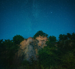 cliff and trees under star night sky
