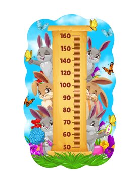 Kids height chart of Easter bunnies and egg hunting. Growth measure meter on vector paper scroll, children stadiometer with cartoon rabbits, eggs, flowers and butterflies, childish wall sticker design