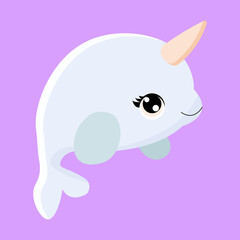 cute dolphin