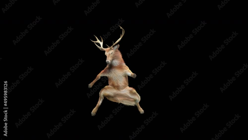 Wall mural deer dancing cg fur 3d rendering animal realistic cgi vfx animation loop composition 3d mapping cart