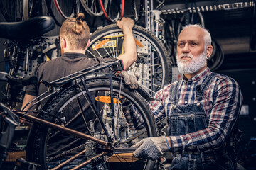 Fototapeta na wymiar Aged craftsman with his young grandson repairing bicycles
