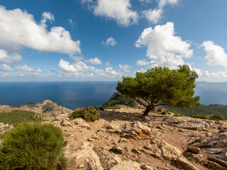 Fototapeta na wymiar Mountains, green flora and mediterranean sea turquoise water of Alcudia, Mallorca, or Majorca, Balearic Islands, Spain