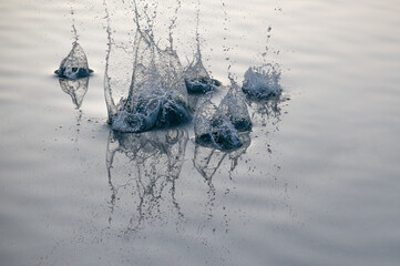 Wasser