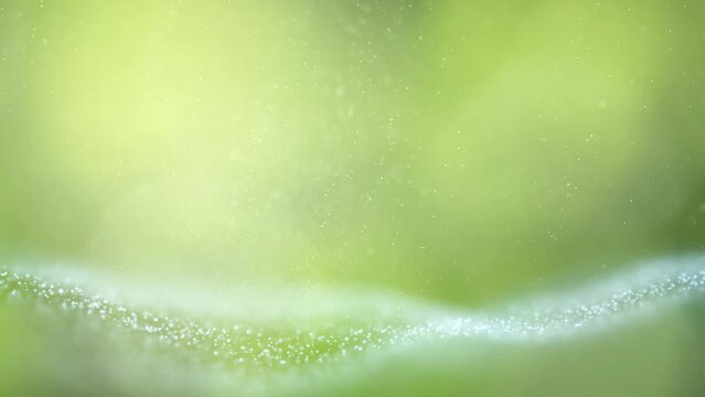 Flowing blurred dots on nature green copy space background.