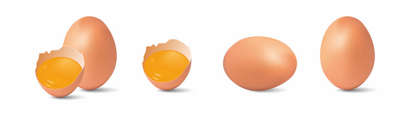 Chicken eggs, half broken egg and yolk isolated on white background. Vector illustration.