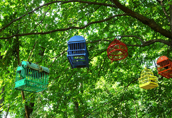 many colored cages for birds in the forest