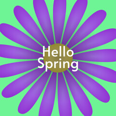 Hello Spring banner, greeting card. Bright flat design with violet beautiful flower on green background