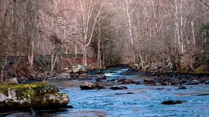 Oconaluftee River in the Great Smoky Mountains of North Carolina