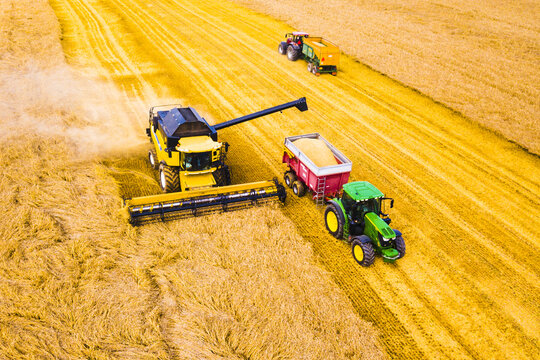 Aerial view of summer harvest. Modern combine harvester and tractor reaping wheat field. Agriculture from drone view.