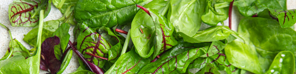 green leaves salad mix microgreen snack healthy meal copy space food background veggie vegan or vegetarian food