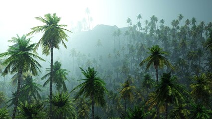 Fototapeta na wymiar Jungle, rainforest during the plank, palm trees in the morning in the fog, jungle in the haze, 3D rendering