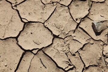 Cracked dry soil.  Water shortage and drought concept. 
