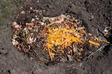 Food waste in compost pit on private garden. Rotting organic waste for compost. Outdoor. Top view