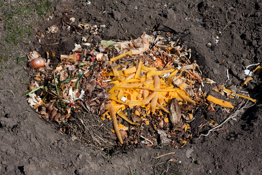 Compost Pit Images Browse 496 Stock Photos Vectors and Video
