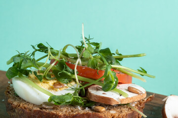 sandwich with egg, champignons, tomato and micro greens on a blue background. Breakfast concept