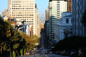 California street during a summer day in San Francisco