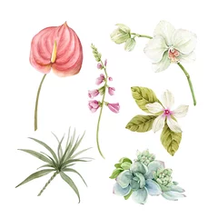 Behang Botanical set of watercolor illustrations of tropical flowers and plants on a white background. hand painted . © Lana