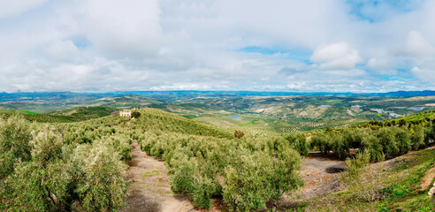 Small farmhouse between olive plantations in Andalusia.