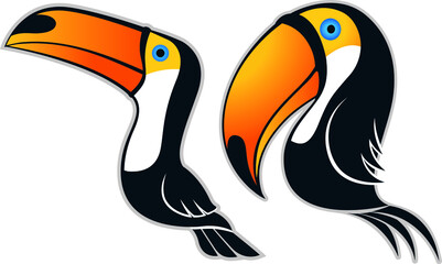 illustration of a toucan, tropical, tropical bird, tucano, brasil