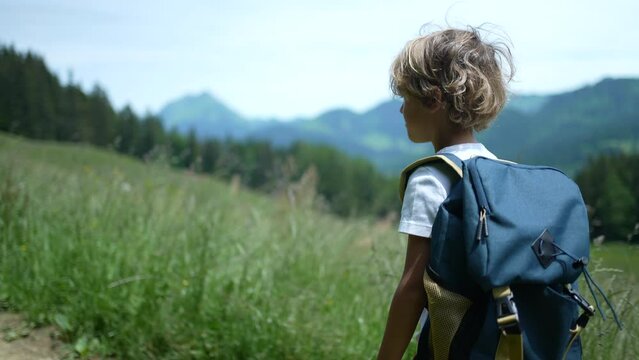 Young boy hiking in the mountain child walking in green nature path