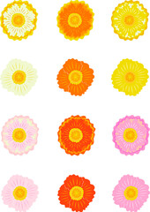 Fototapeta premium レトロな色とりどりのポピーの花のイラストセット