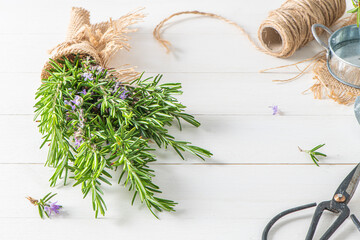 Rosemary sprigs bunch nestled inside a burlap bag tied with twine on wooden background. Fresh organic herbs with copy space for text