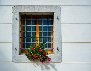 A window with steel bars on a grey wall and a planter