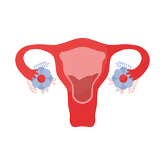 red uterus design