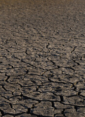 Earth cracked because of drought. The global shortage of water on the planet. Global warming concept. Dry cracks in the land.
