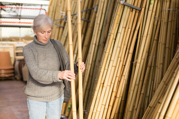 Focused interested senior woman looking for natural bamboo poles in horticultural market for...