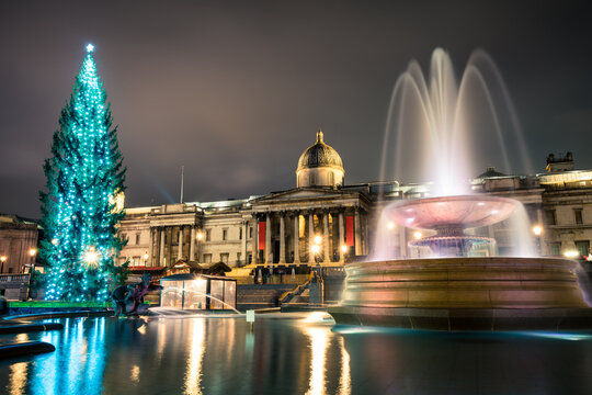 Trafalgar Square with Christmas tree in London England 