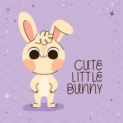 cute little bunny poster
