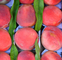 Fototapeta na wymiar Ripe peaches of the new harvest are sold in the bazaar