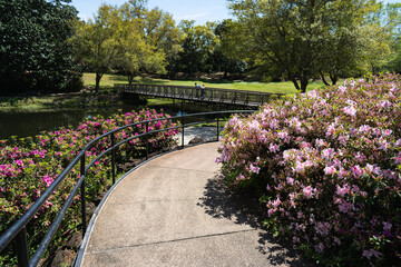 Obraz premium A Garden View during Spring