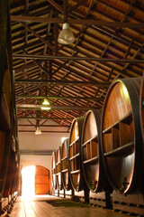wine barrels in bodegas lopez mendoza
