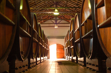 Wine barrels in bodegas Lopez Mendoza