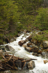 patagonia waterfall in the forest