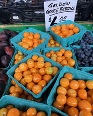 Golden Goose Berries 