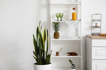 Shelves with kitchenware and plant near white wall