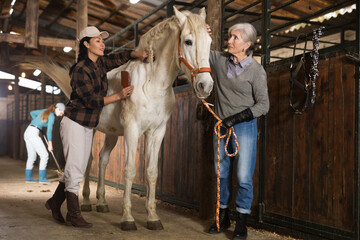 Young Asian and European senior women brushing white horse in barn.