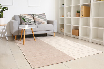 Interior of light stylish room with comfortable sofa, big shelf unit and carpet