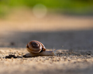 Crossing the Path
