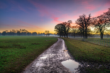 Fototapeta na wymiar Sunset at the park with wet empty path. Woburn Park in England