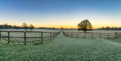 Green frosty meadow in winter at sunrise. Woburn Park in England